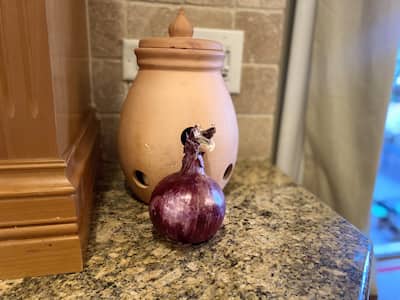 A red onion in front of a clay onion keeper on a granite counter top.
